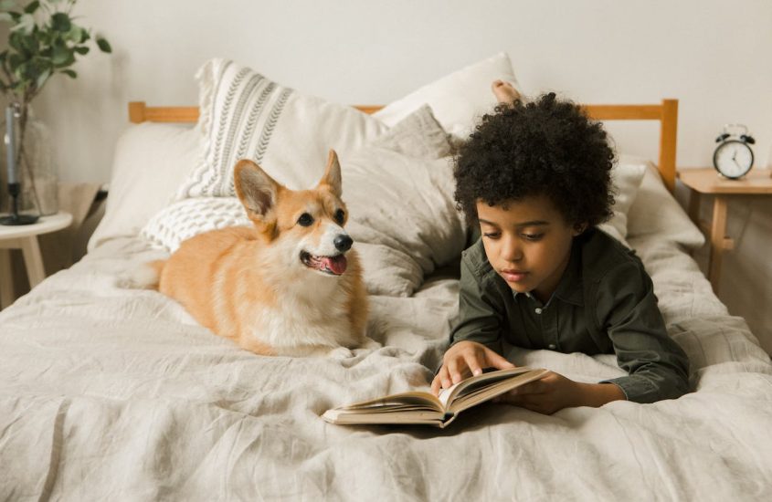 Le lit enfant parfait pour des nuits douces et réparatrices